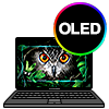   OLED 